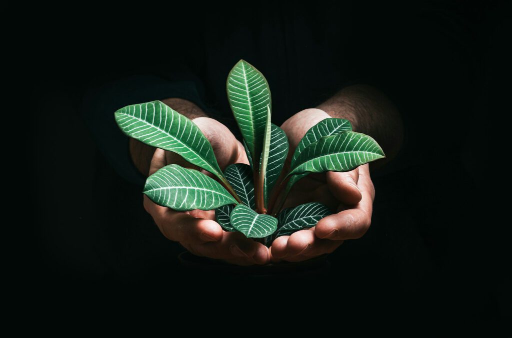 Building Sustainable Businesses Through Strategic Capital